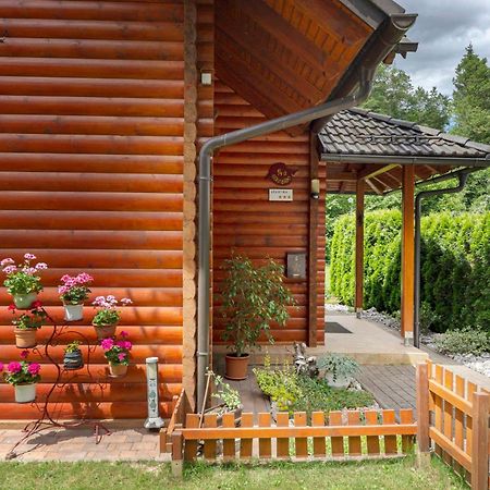 Apartma Metka Medvode Esterno foto