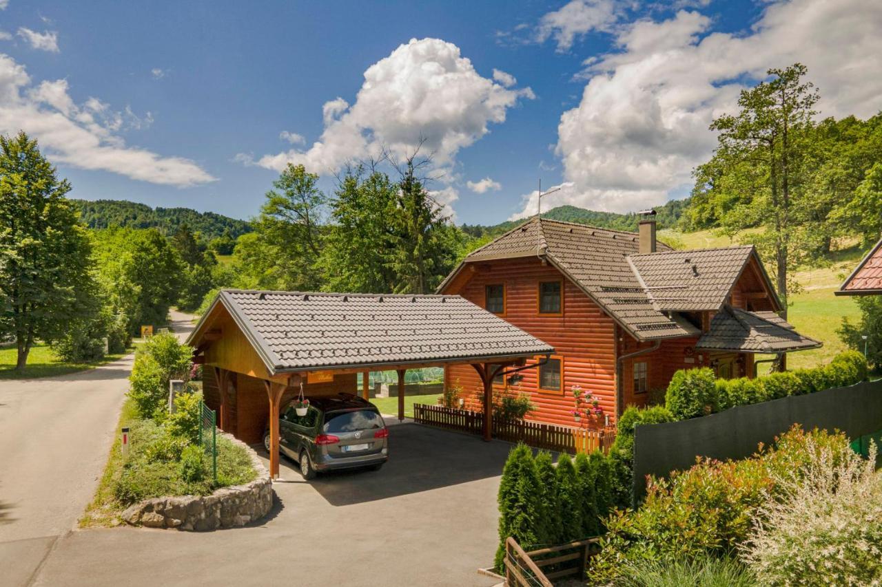 Apartma Metka Medvode Esterno foto