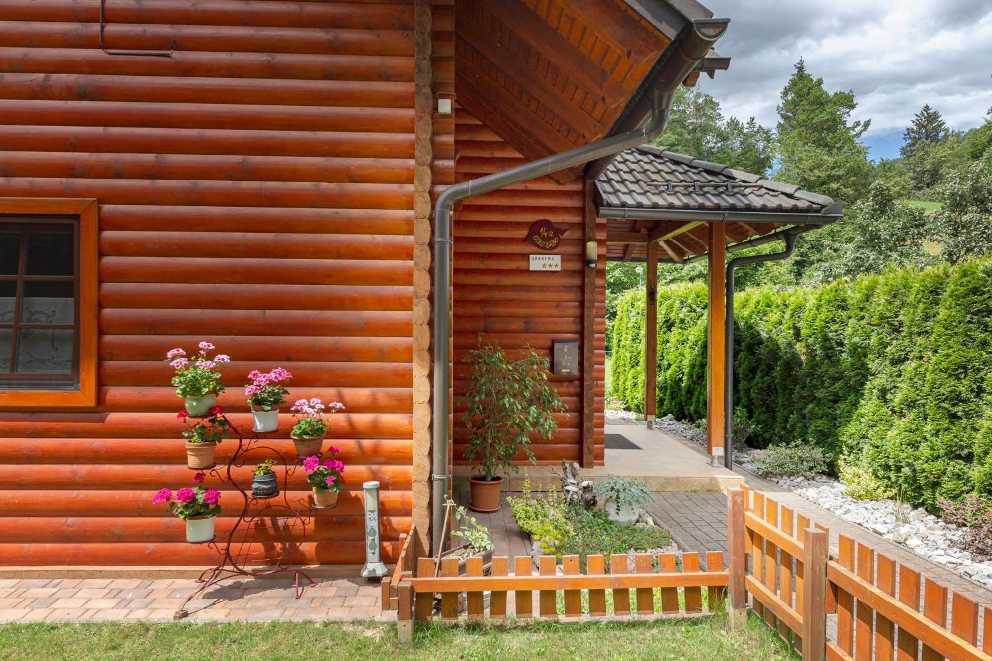 Apartma Metka Medvode Esterno foto