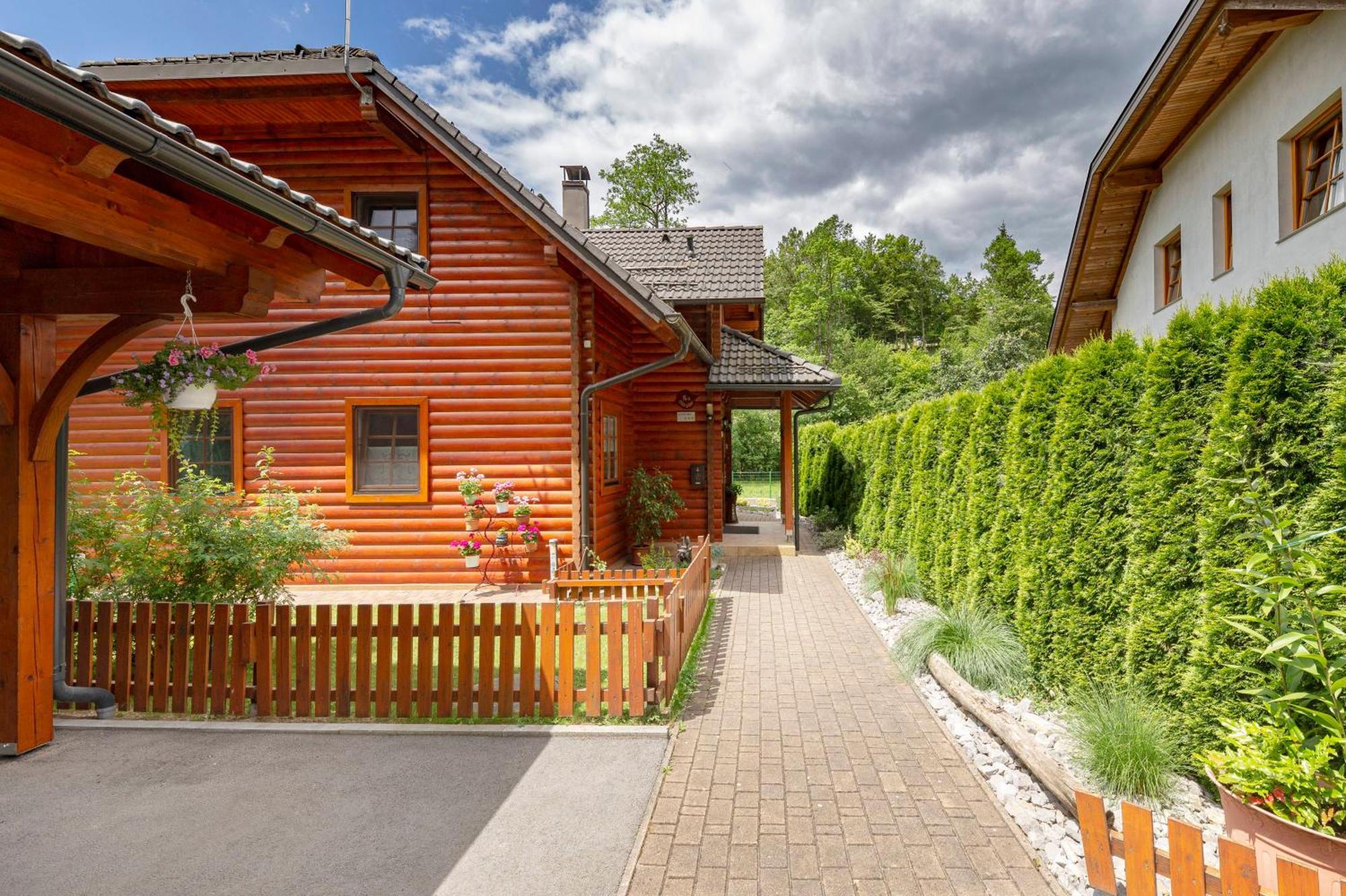 Apartma Metka Medvode Esterno foto