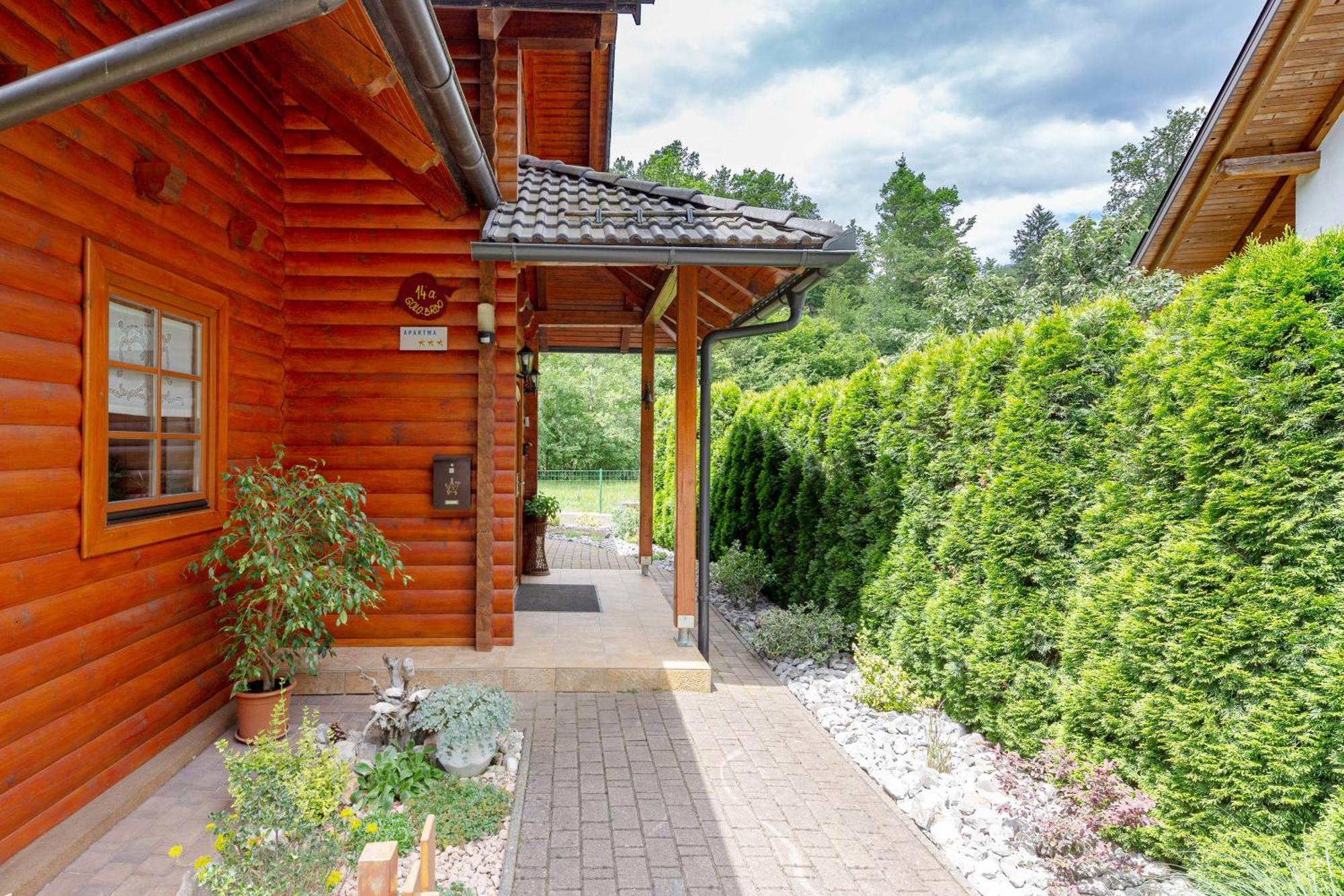 Apartma Metka Medvode Esterno foto