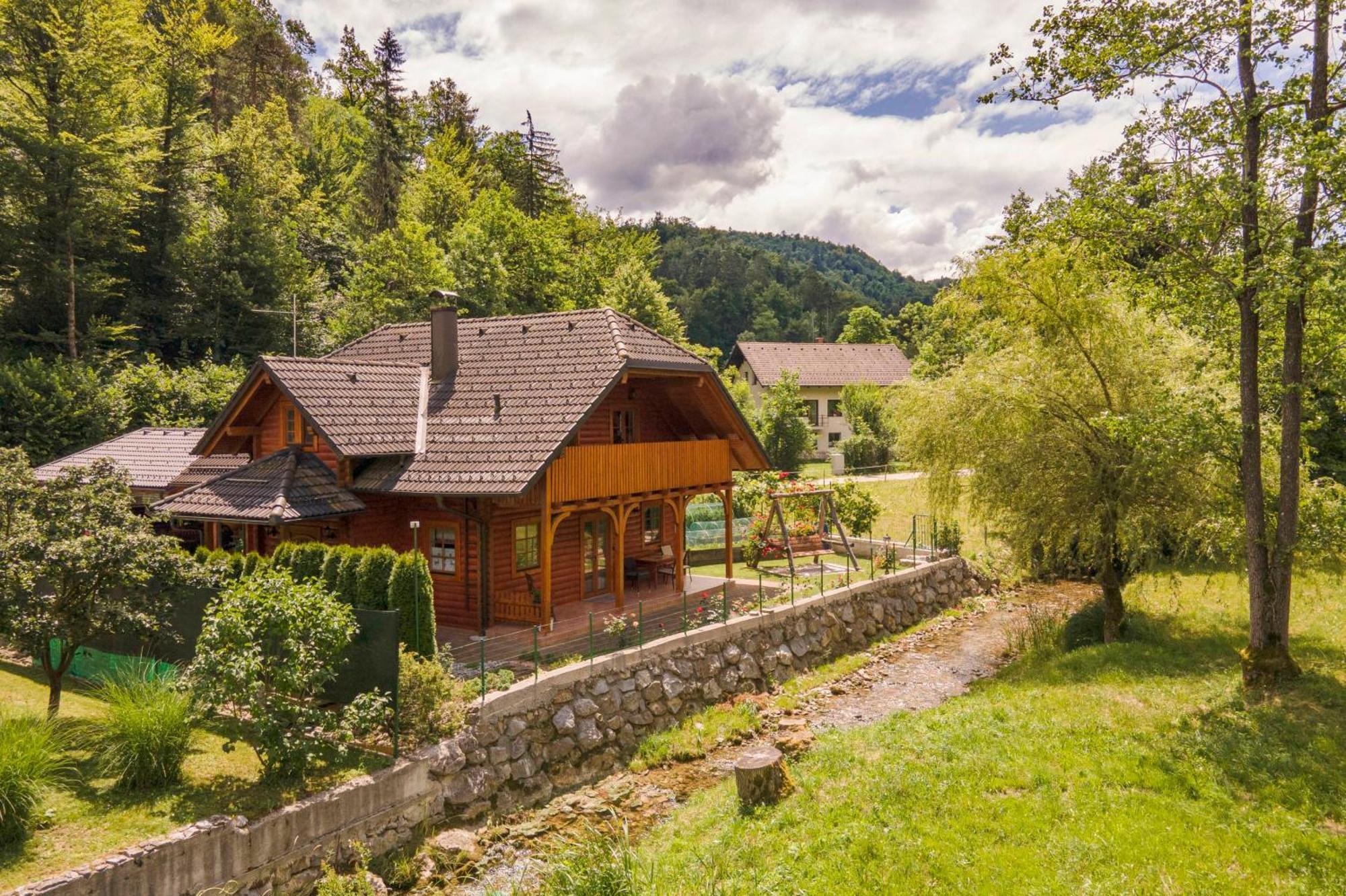 Apartma Metka Medvode Esterno foto