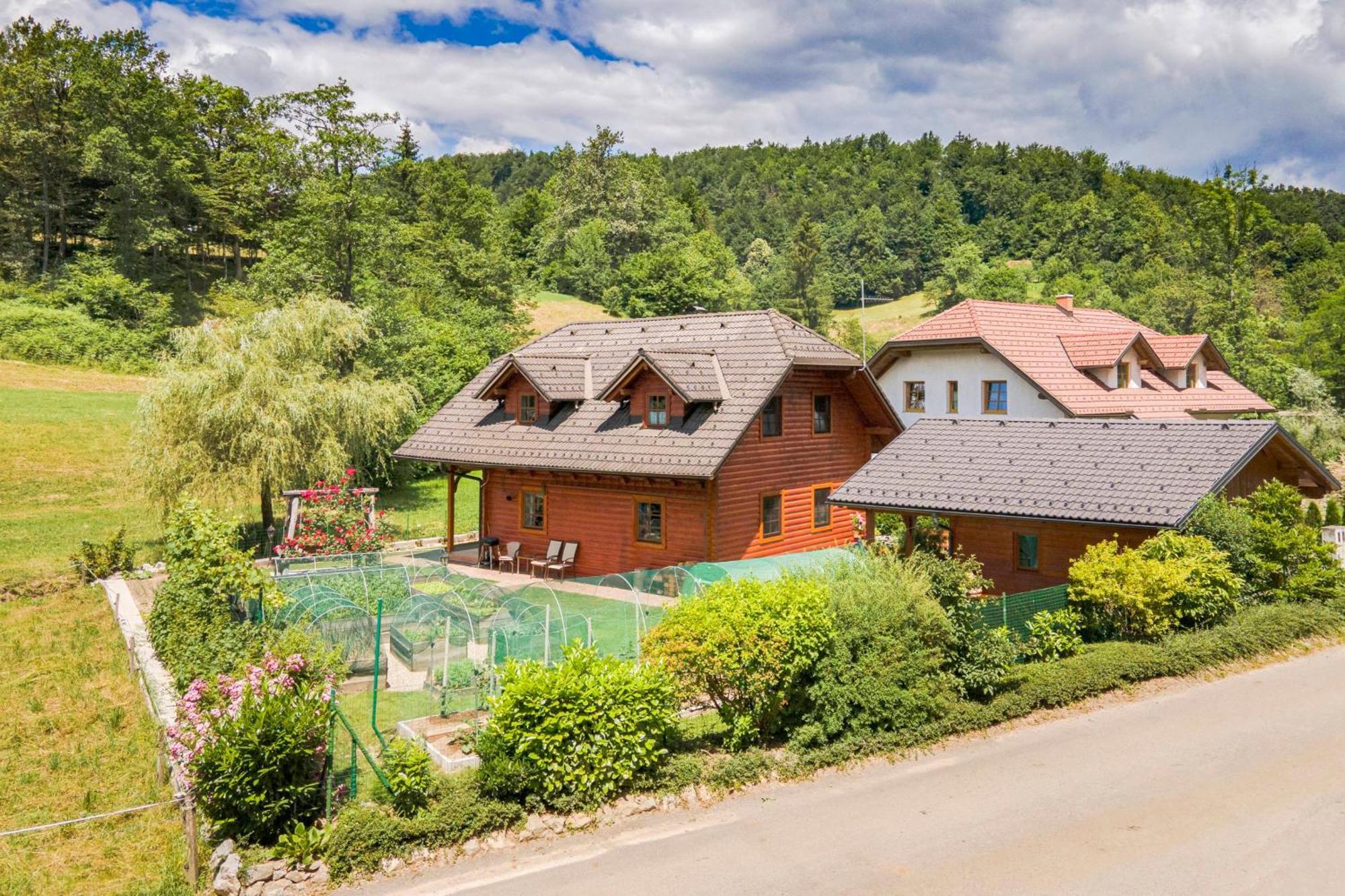 Apartma Metka Medvode Esterno foto