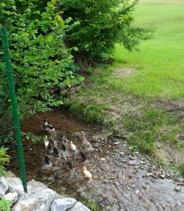 Apartma Metka Medvode Esterno foto