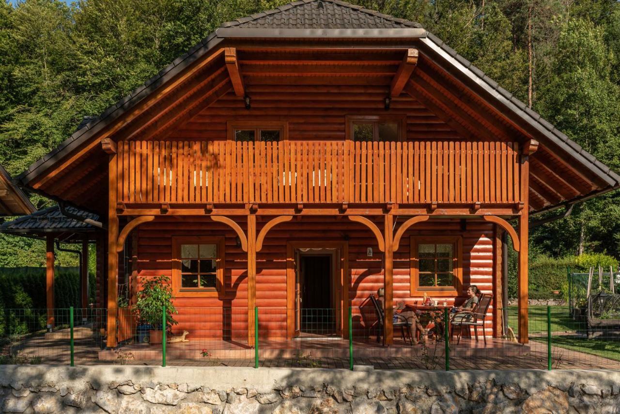 Apartma Metka Medvode Esterno foto